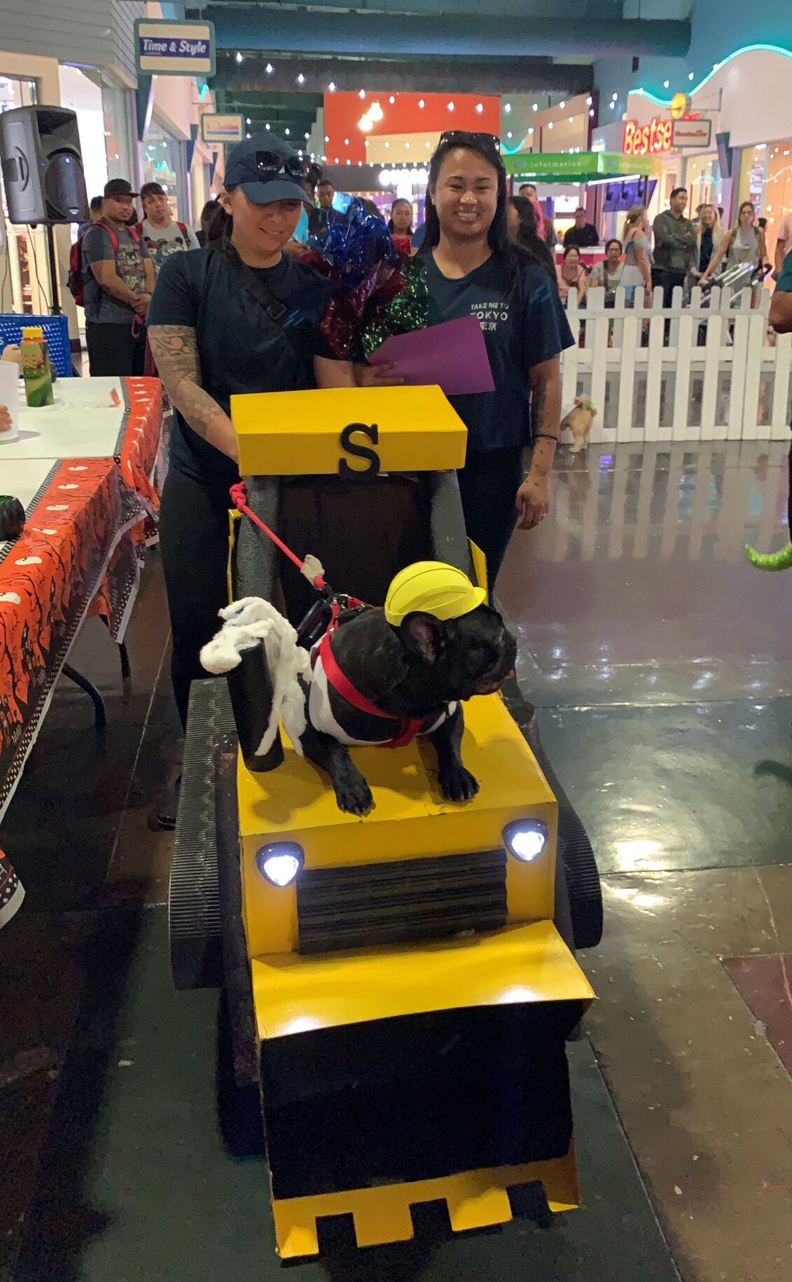 Petcontest 201901 (copy)